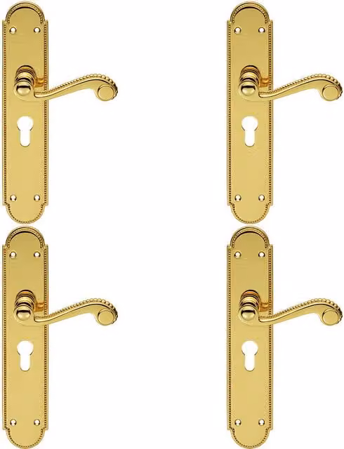 Loops 4x Pair Beaded Pattern Handle on Euro Lock Backplate, Polished Brass, 249 x 50 mm