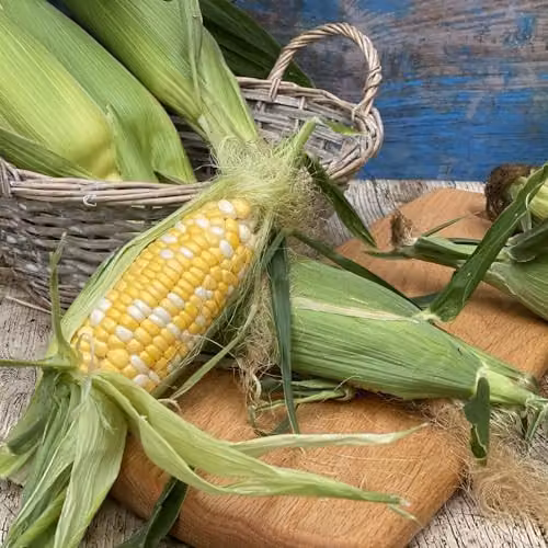 Thompson & Morgan Sweetcorn Pot of Gold F1 Bicoloured Seeds, 1x Seed Packet