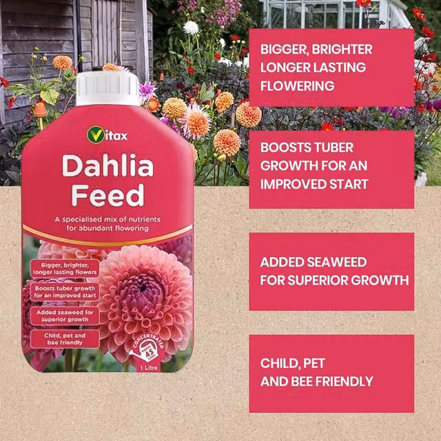 Vitax Liquid Dahlia Feed for Ornamental Gardens
