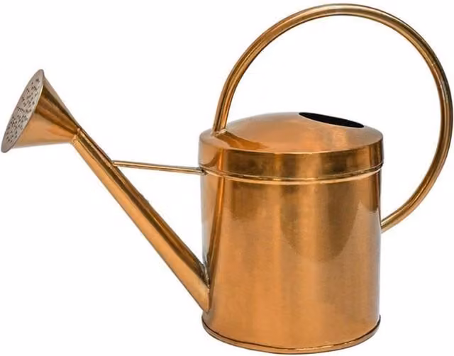 Lemon Pavilion Kensington Traditional Copper Watering Can in Gold, W: 40 cm, D: 40 cm, H: 25 cm