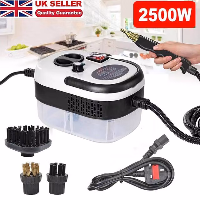 YnysTec Portable Handheld Steam Cleaner 2500W in White