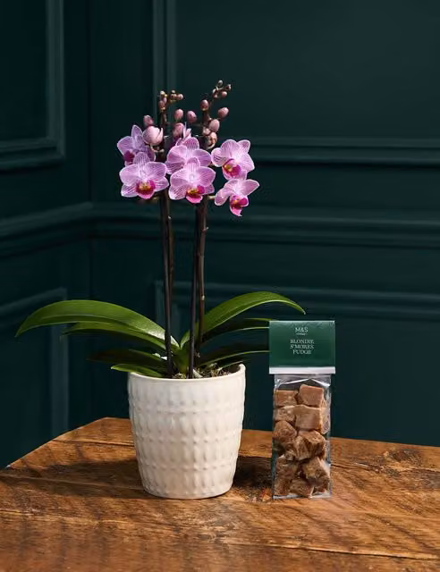 M&S Flower Market Pink Orchid with Blondie S'Mores Fudge