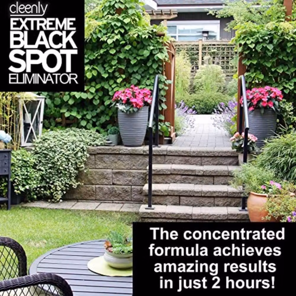 Cleenly Black Spot Destroyer for Patios, Paving and Drives, White, 1 Pack – 3