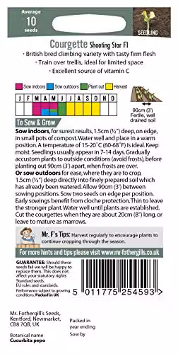 Mr Fothergill's Shooting Star F1 Courgette Vegetable Seeds – 2