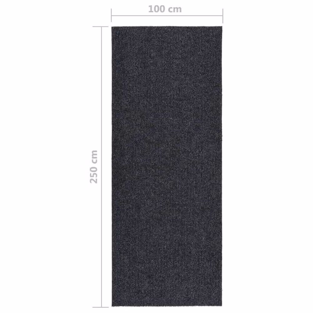 Berkfield Home Dirt Trapper Carpet Runner, Anthracite, W: 100 cm, L: 250 cm – 2