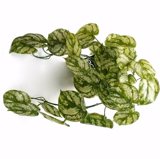 Leaf UK Artificial Hanging Green Plant, Multicolour, W/D/H: 35 x 35 x 20 cm – 1