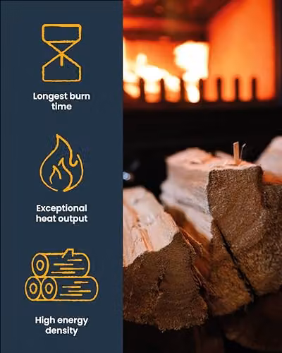 Ecoblaze Kiln-Dried Hardwood Logs, 20L – 2