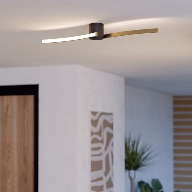 Eglo Aieta Minimalist Ceiling Light in Black and Gold/Brass – 1