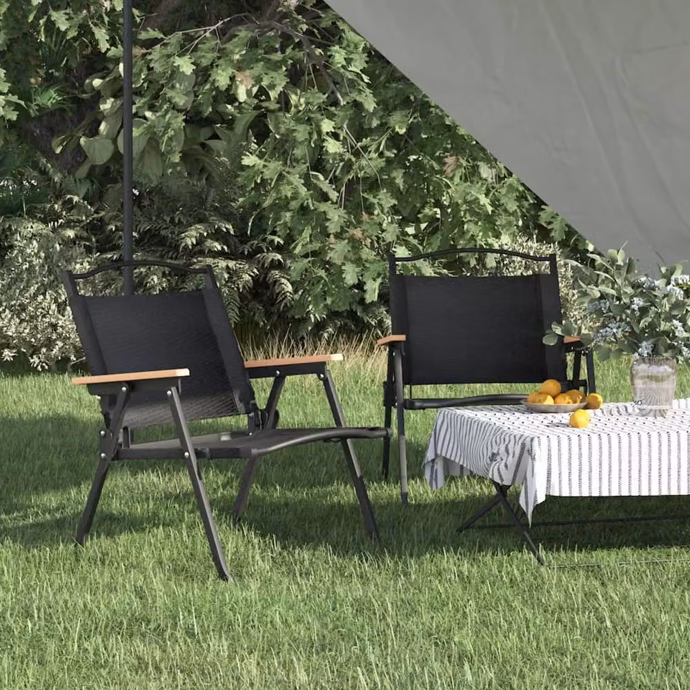 Berkfield Home Durable Camping Chairs, 2 Pack, Black, W/D/H: 54 x 43 x 59 cm – 2