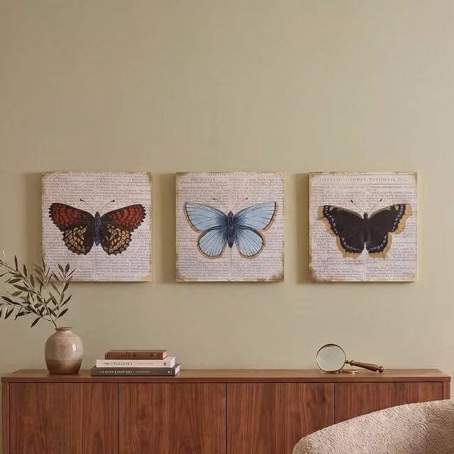 Orsina Set of 3 Butterfly Wall Plaques with Typography and Floral Motifs in Grey and Multicolour, W/D/H: 20 x 20 x 1 cm