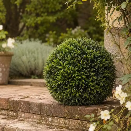 Leaf UK Botanik Green Artificial Thyme Topiary Ball, Diameter: 45 cm