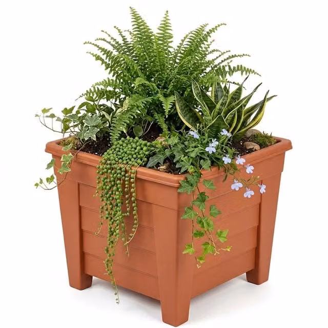 Storm Trading Group Set of 2 Square Terracotta Grosvenor Flower Planters in Brown