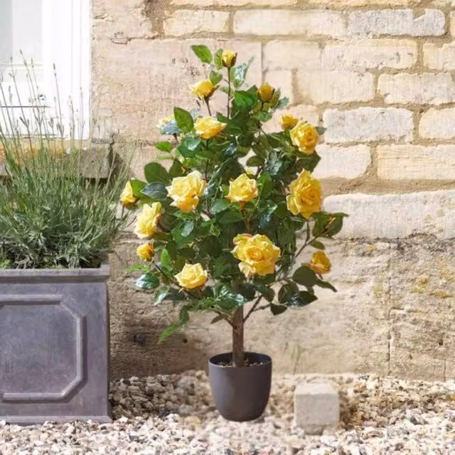 Marco Paul 80cm Artificial Yellow Rose Plant
