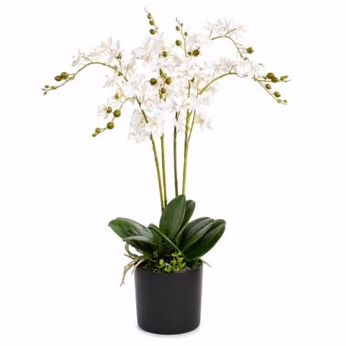 Leaf Design UK Realistic Artificial Orchid Flower Display in Pot, White, Height: 60 cm – 1
