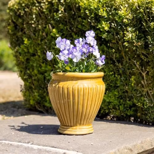 Primrose Yellow Terracotta Round Planter, Height: 22 cm, Diameter: 25 cm