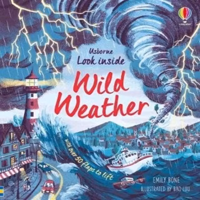 Usborne Look Inside Wild Weather Board Book, Multicolour