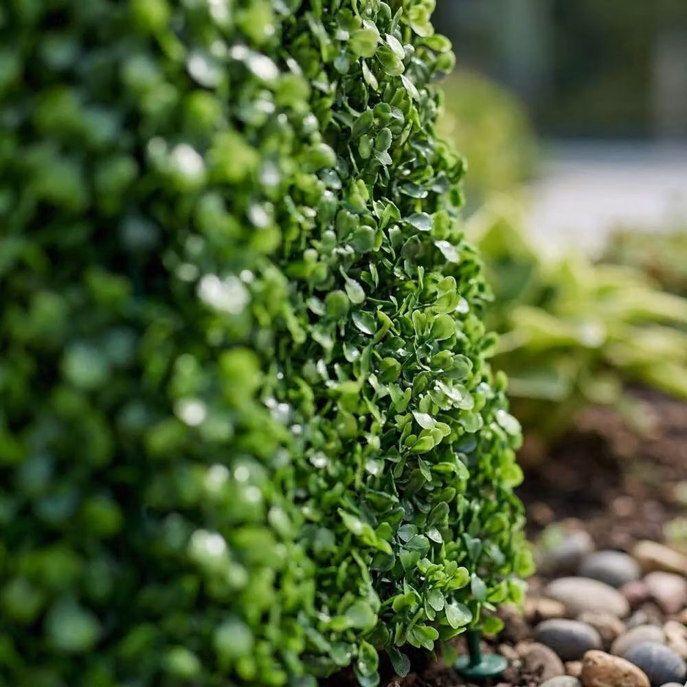 Garden Greatness Artificial Boxwood Obelisk Topiary Tree in Green, H 60 cm x W 20 cm x D 20 cm – 2