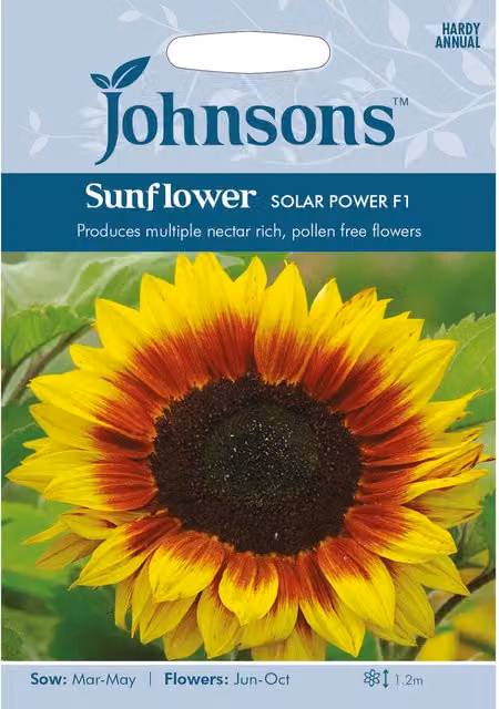 Johnsons Solar Power F1 Yellow Sunflower Seeds