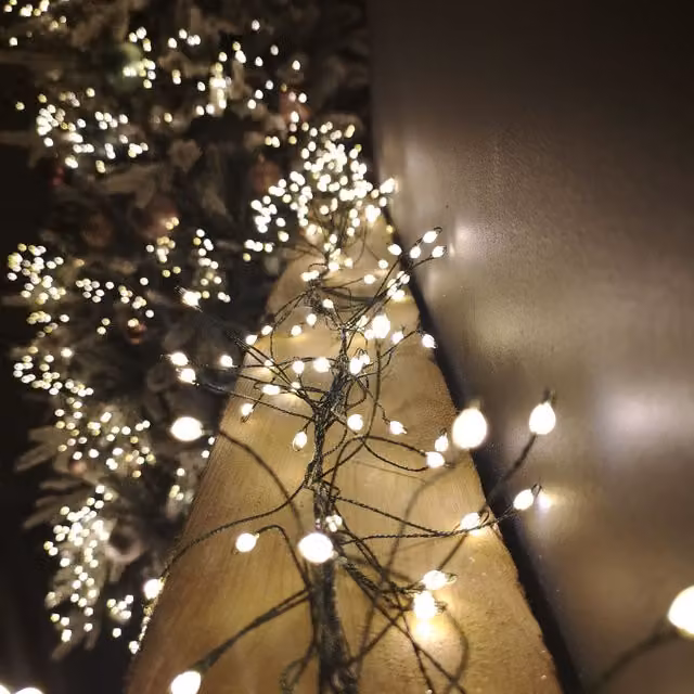 Samuel Alexander Green Christmas Garland with Warm White LED String Lights and Timer