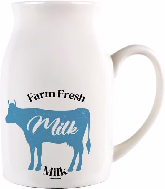 Purely Home Ceramic Serving Jug in Blue and White