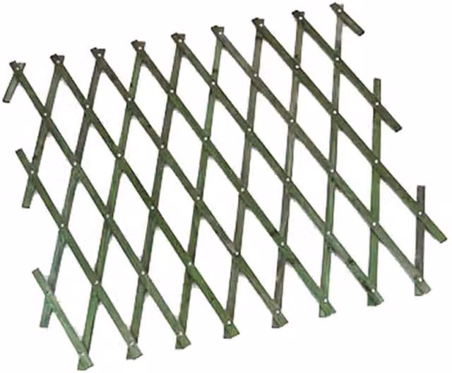 Garden Mile Green Wooden Expanding Trellis, W/H: 30 x 180 cm
