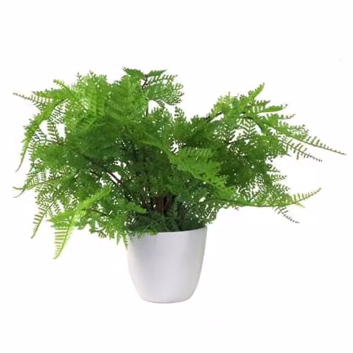 Leaf Green Potted Artificial Lady Fern Plant, 30 cm Height