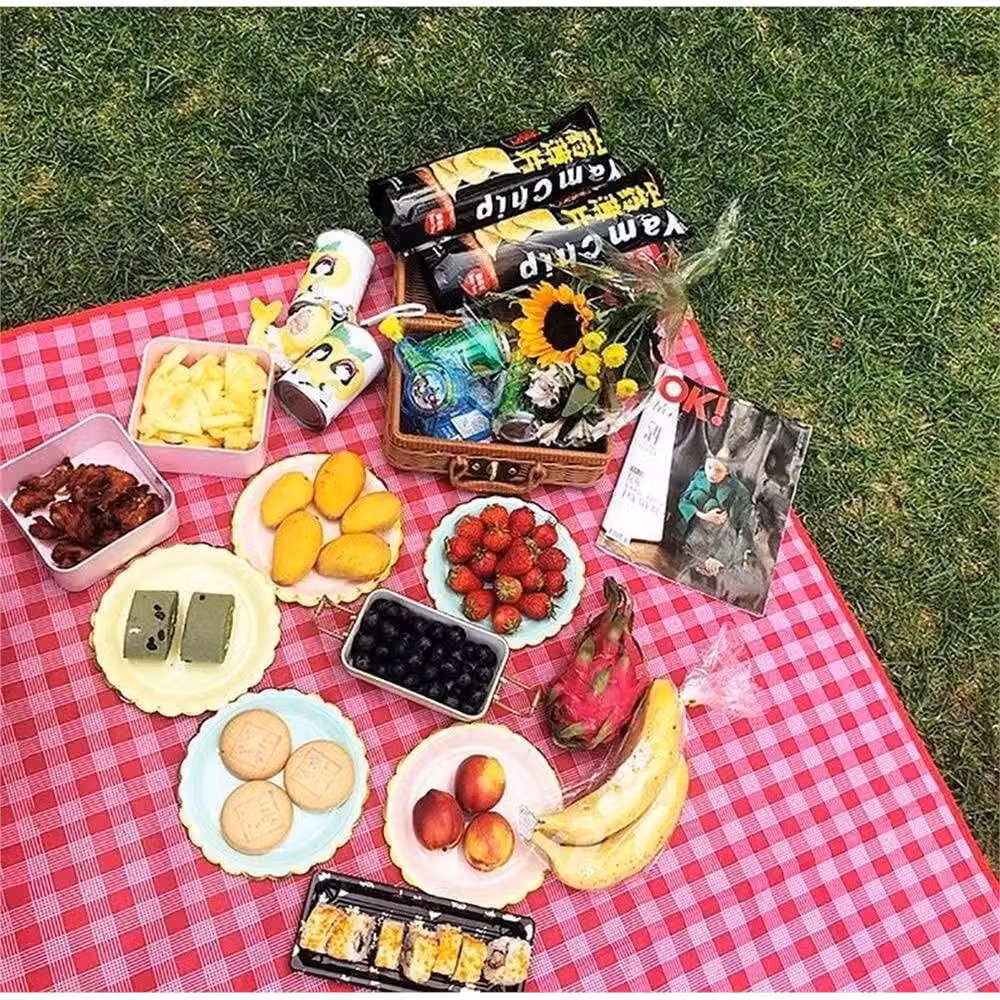 Nordara Red Checked Folding Picnic Blanket with Waterproof Backing, W/D/H: 100 x 100 x 15 cm – 3