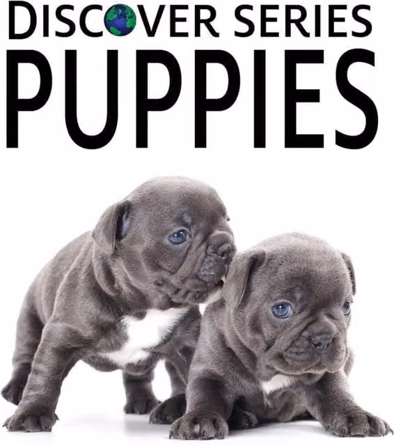 Xist Publishing Puppies Paperback Book in Multicolour and Grey