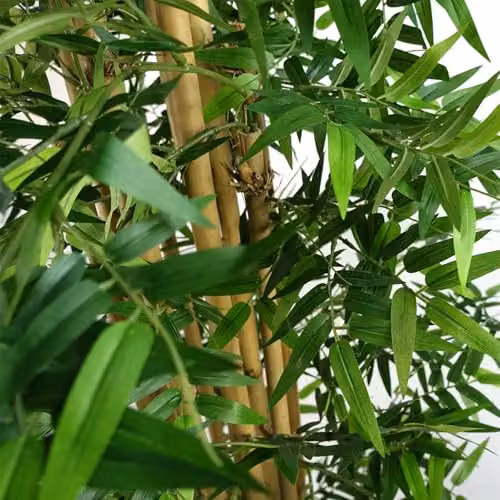 Botanik 150 cm Green Oriental Artificial Bamboo Tree – 3