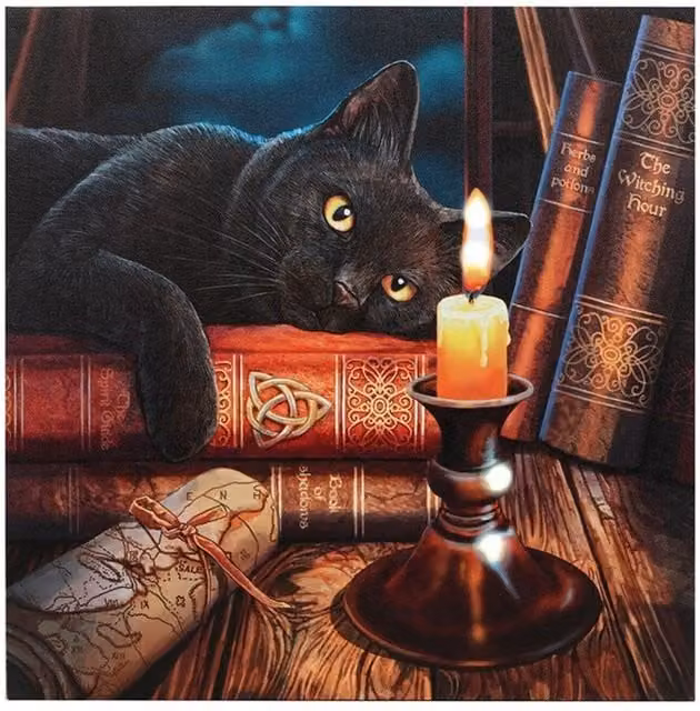 Lisa Parker The Witching Hour Light Up Multicolour Canvas Plaque, Black