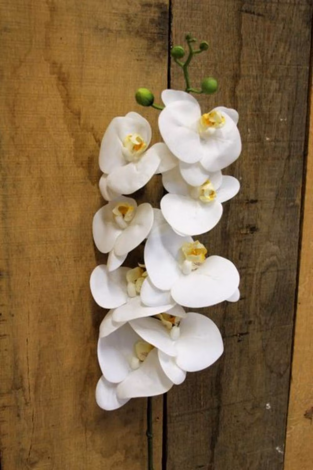 KDMD White Phalaenopsis Orchid Spray – 3