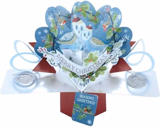 KDMD Blue Owl in Wreath Pop Up Card