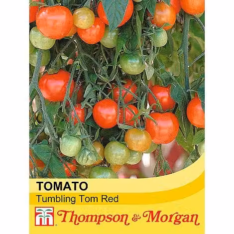 Thompson and Morgan Tumbling Tom Red Tomato Seeds, 15 Seeds per Packet