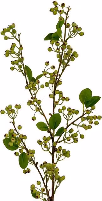 Hill Interiors Wintergreen Artificial Plant in Green