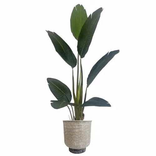 Leaf Coya Large Planter in Rustic Organic Style, Diameter: 32 cm – 2