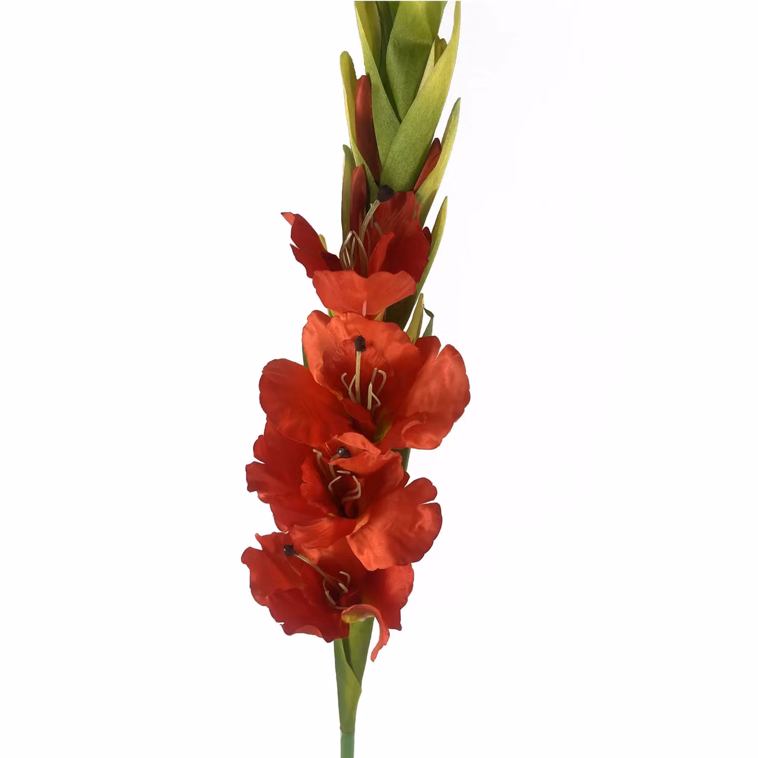 Leaf UK Orange and Red Artificial Gladioli Stems, Height: 115 cm – 1