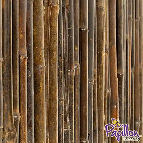 Papillon Thick Carbonised Black Bamboo Woven Privacy Screening Roll, W: 190 cm, H: 180 cm – 2