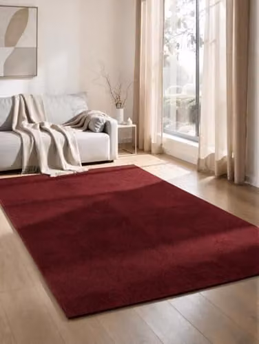 Desire Rugs Red Plain Modern Rectangular Living Room Area Rug, W: 120 cm, L: 160 cm – 6
