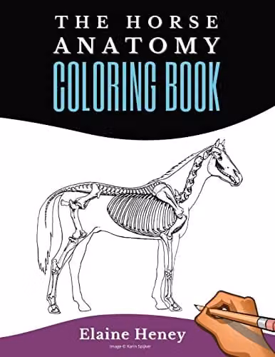 Horse Anatomy Coloring Book for Adults by Grey Pony Films: Equine Self-Assessment Workbook for Equestrians and Veterinary Students