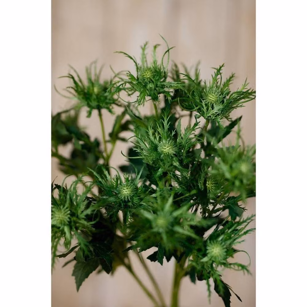 Lemon Pavilion Sea Holly Spray Single Stem Green Plastic, Height: 67 cm – 3