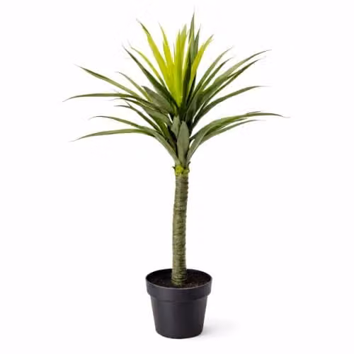 Leaf Large Artificial Spiky Yukka Tree Plant in Green and Black, Height: 90 cm