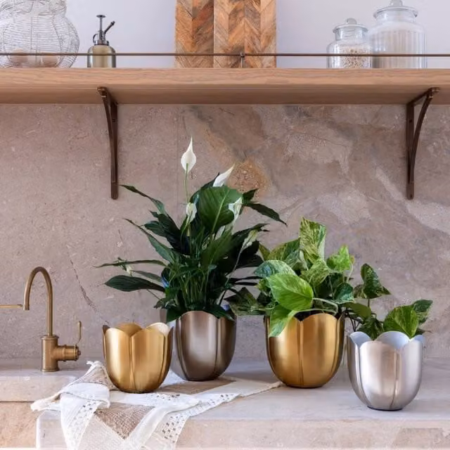 Ivyline Eva Metal Tulip Silver Planter Set of 2