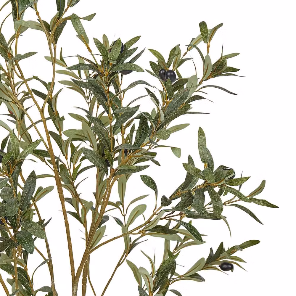 Wyld and Coco Green Artificial Mediterranean Olive Tree, Height: 153 cm – 3
