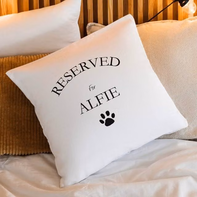 Aye Do Gifts Personalised Reserved For The Dog or Cat Cushion in Cream, W/D/H: 40 x 40 x 40 cm