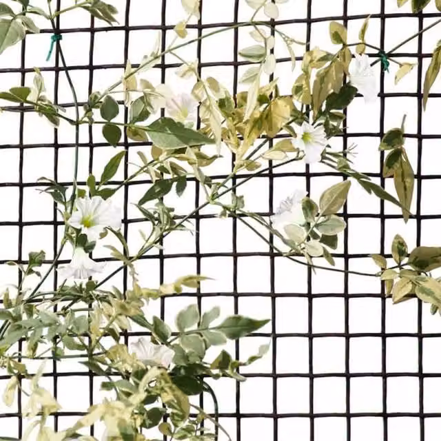 Garden Mile Brown Trellis Support Mesh
