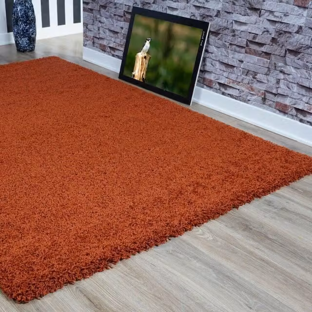 Smart Living Modern Shaggy Rectangular Rug, Orange, W: 120 cm x L: 170 cm