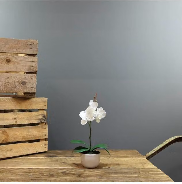 KDMD Artificial White Aragon Phalaenopsis Orchid in Ceramic Planter, Medium, 1 Stem