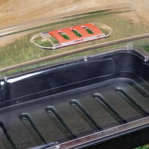 Samuel Alexander Pack of 4 Grostart Midi Unheated Seed Starter Trays, 38 cm, Black – 3