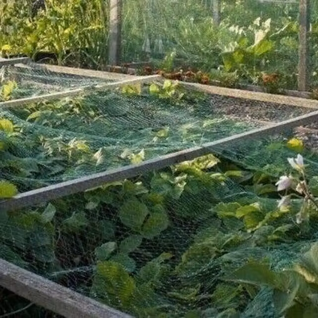 Garden Mile Green PVC Garden Pond and Plant Netting, 4m