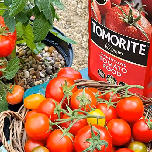 Levington Tomorite Liquid Tomato Food Plant Tonic, 1 l – 3